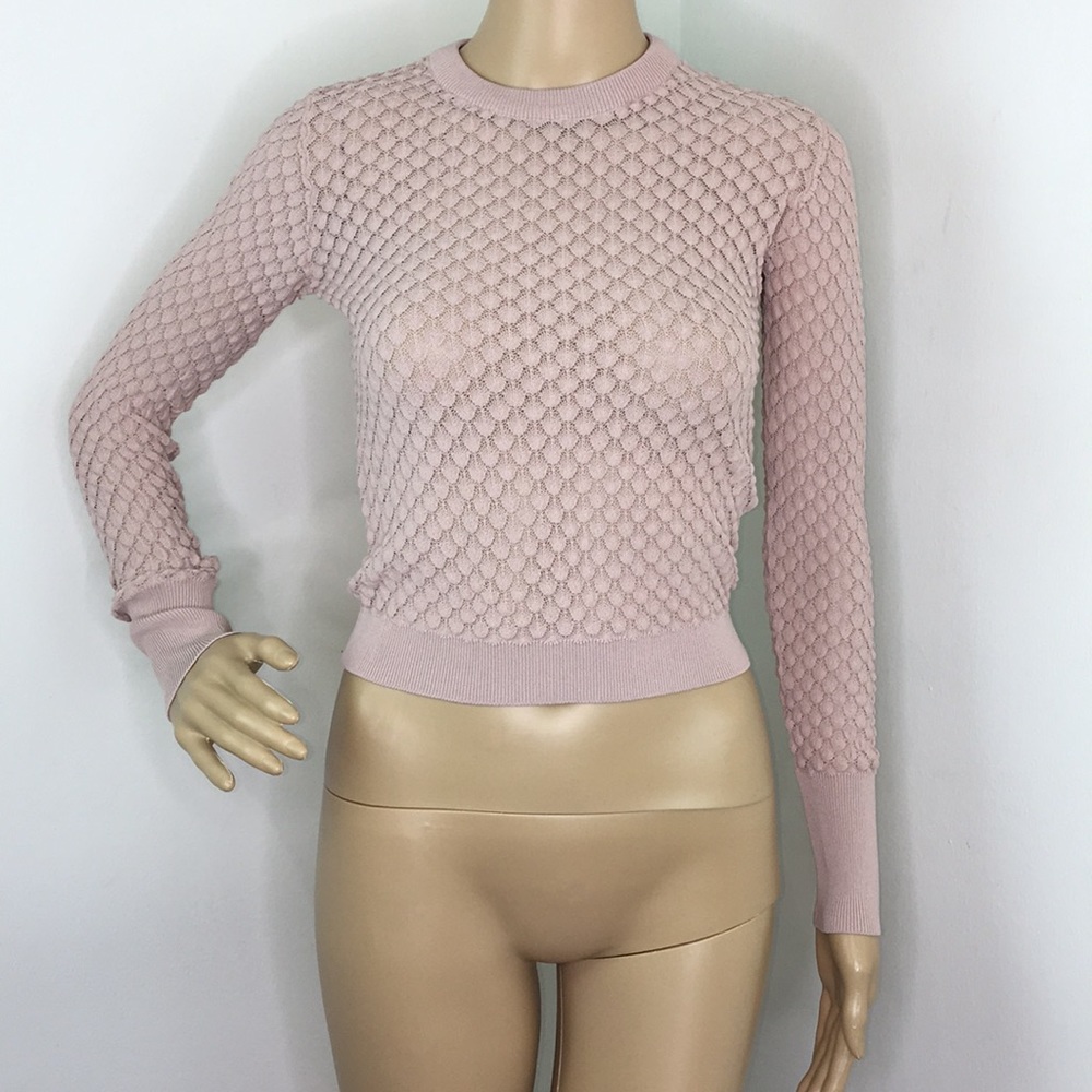 Zara Blush Knit See Thru Long Sleeve Blouse